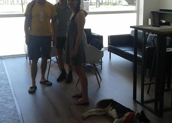 호스텔 체크 인 레옹